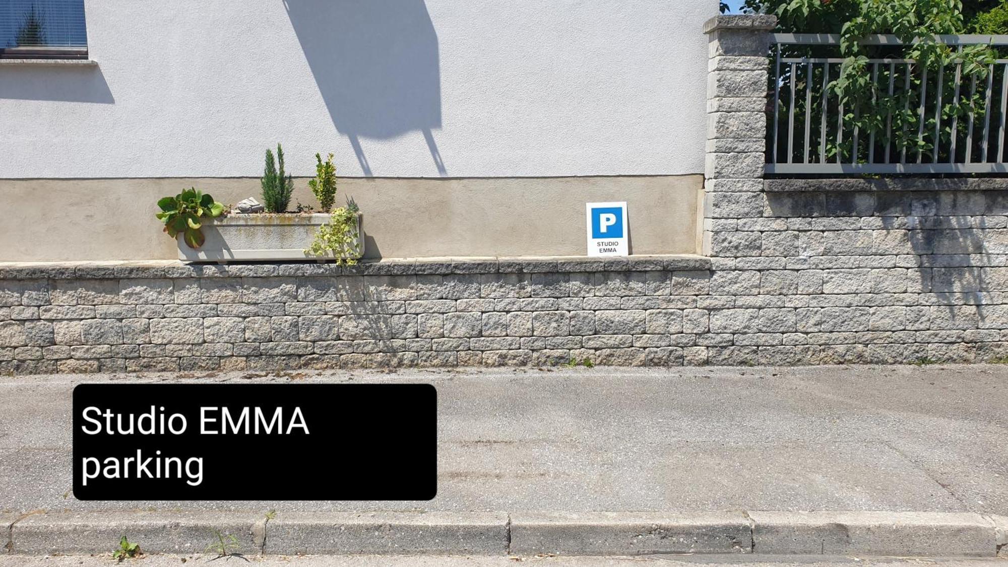 Studio Emma Ljubljana - Free Parking, Ac, Wifi Екстер'єр фото